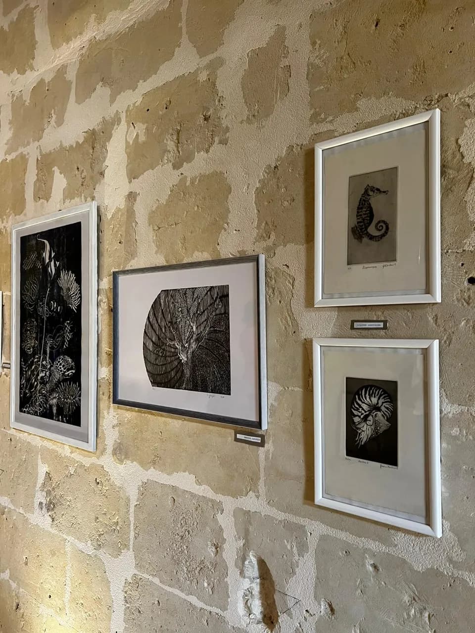 Bd Matera Gallery