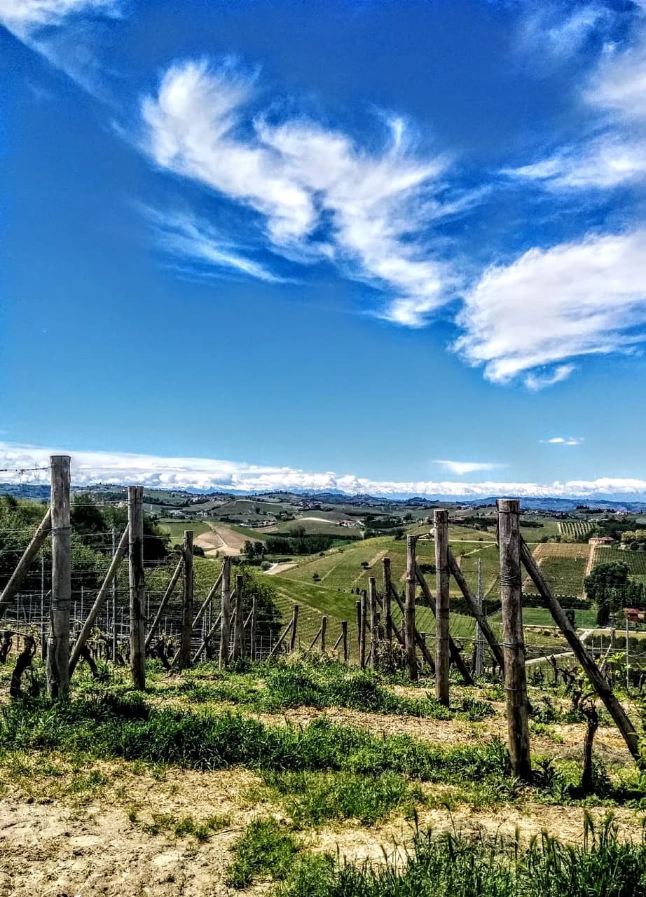 Cantina Cecilia Monte