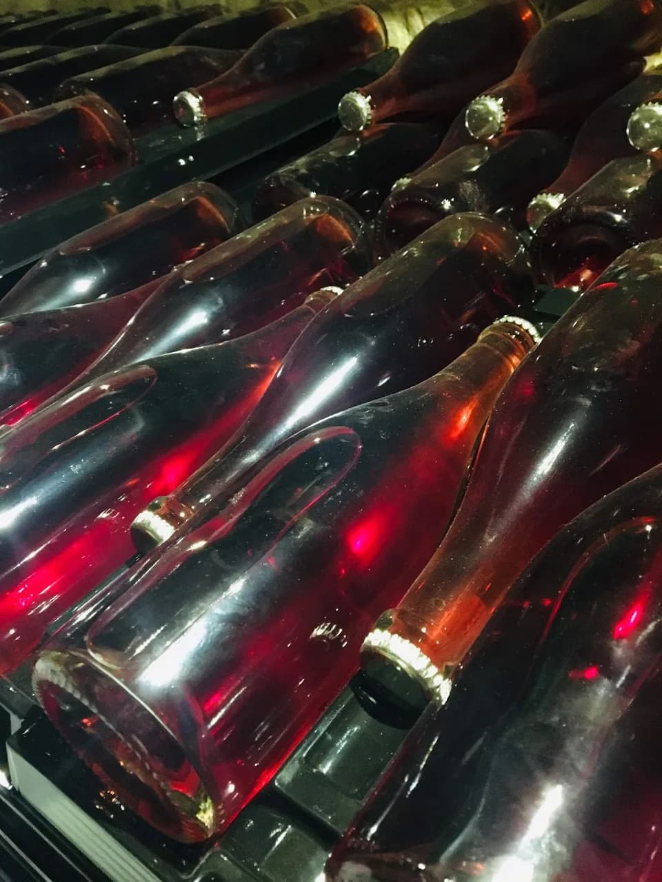 Cantina Ferretti Vini