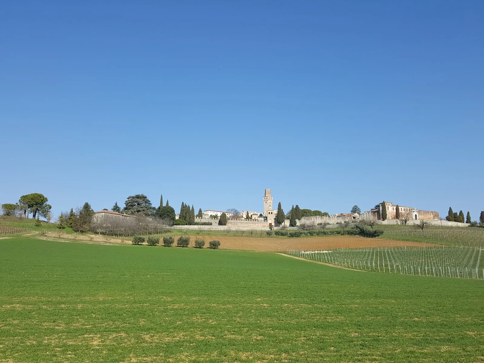Castello Del Prosecco