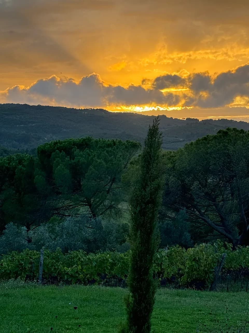 Corte Di Valle