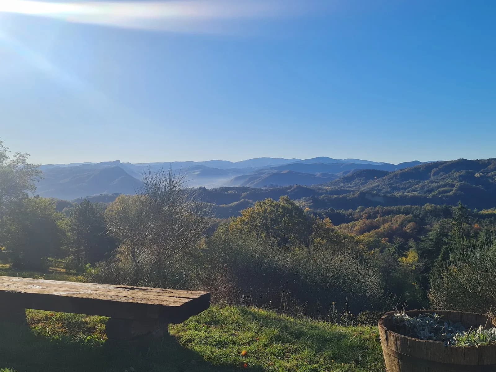Fattorie Di Montechiaro