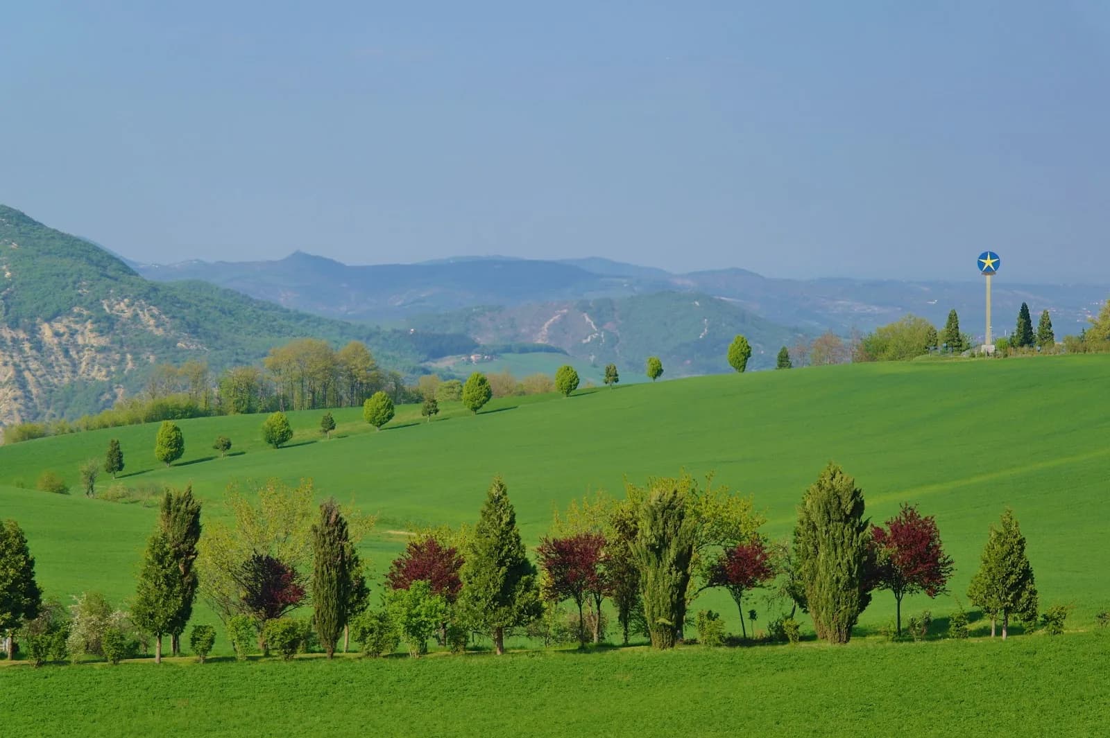 Fattoria La Corte