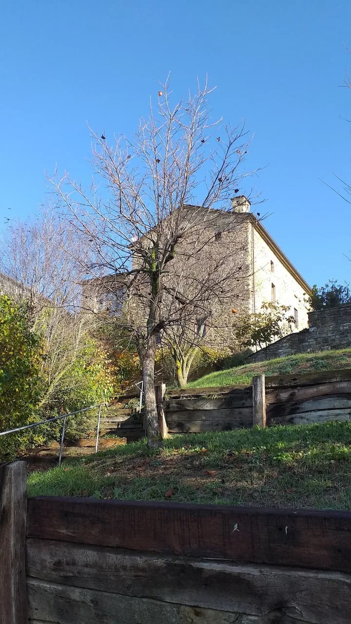 Fattoria La Corte