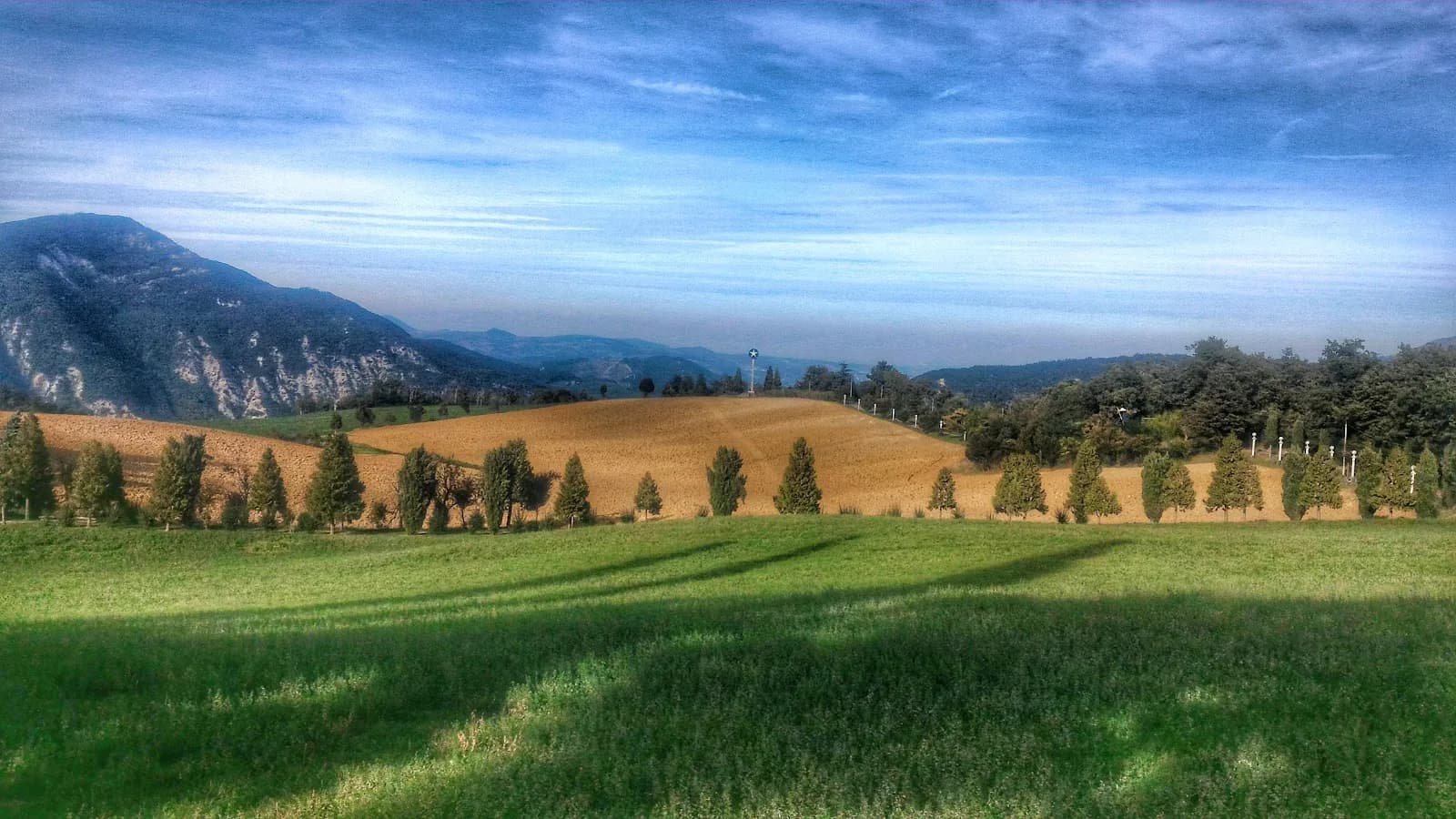 Fattoria La Corte