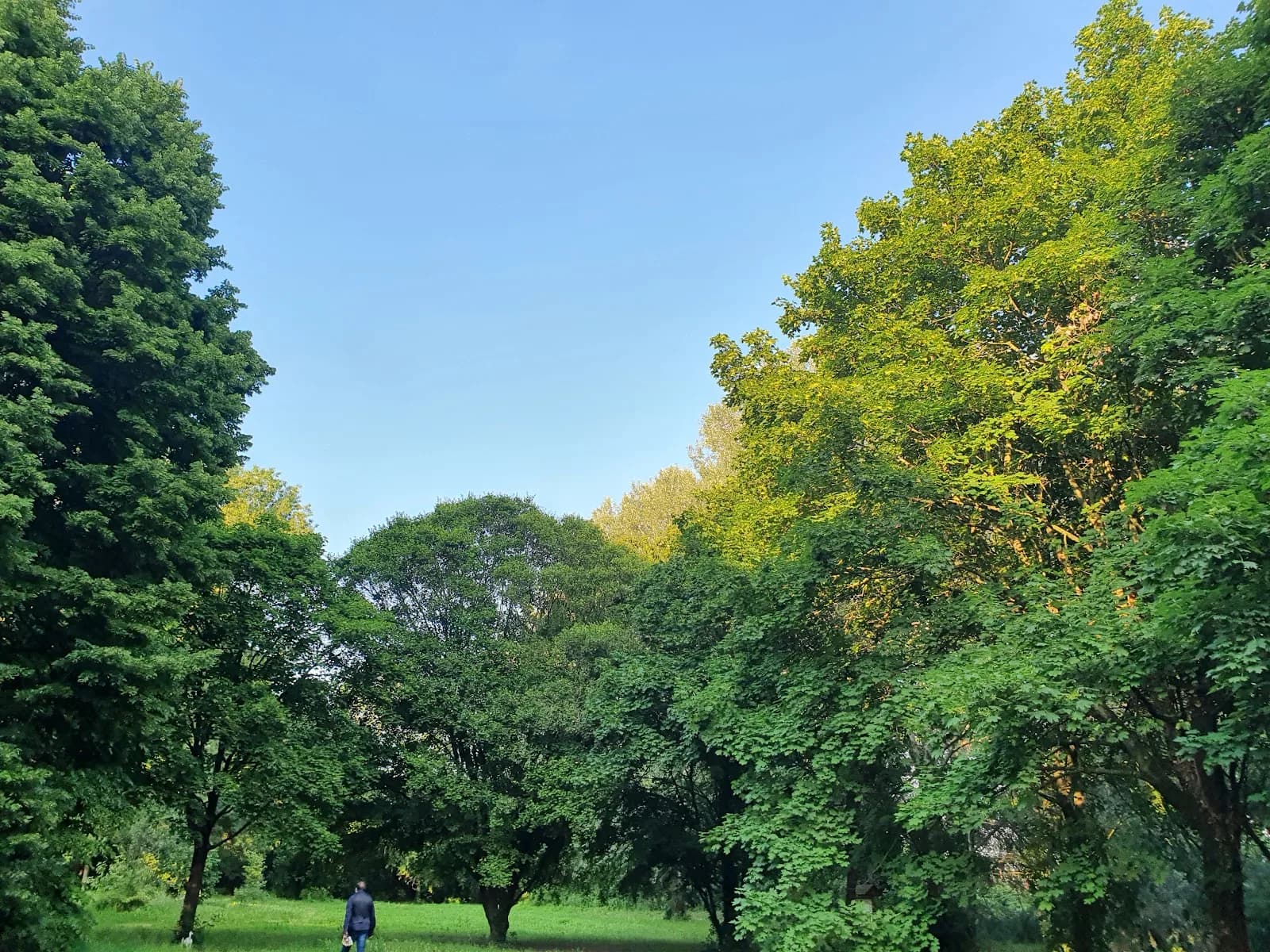 Fenice Green Energy Park