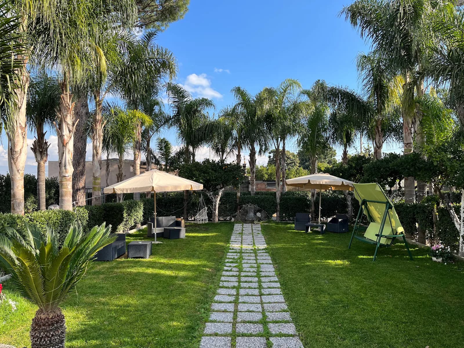 Green Oasis