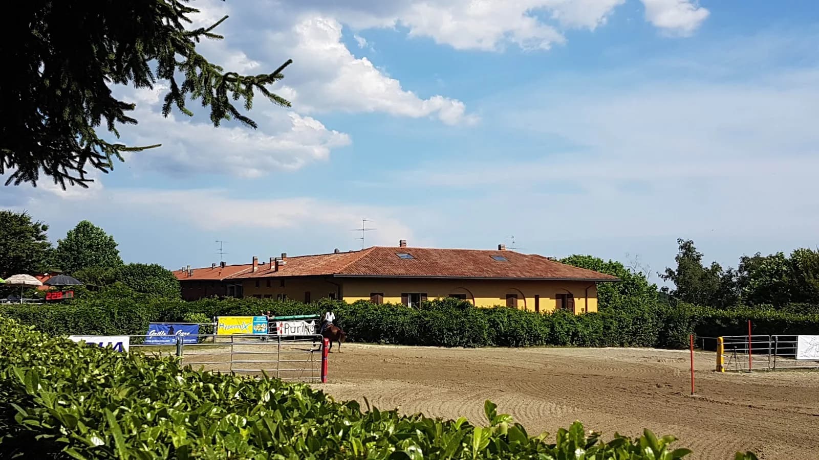 Grillo Center