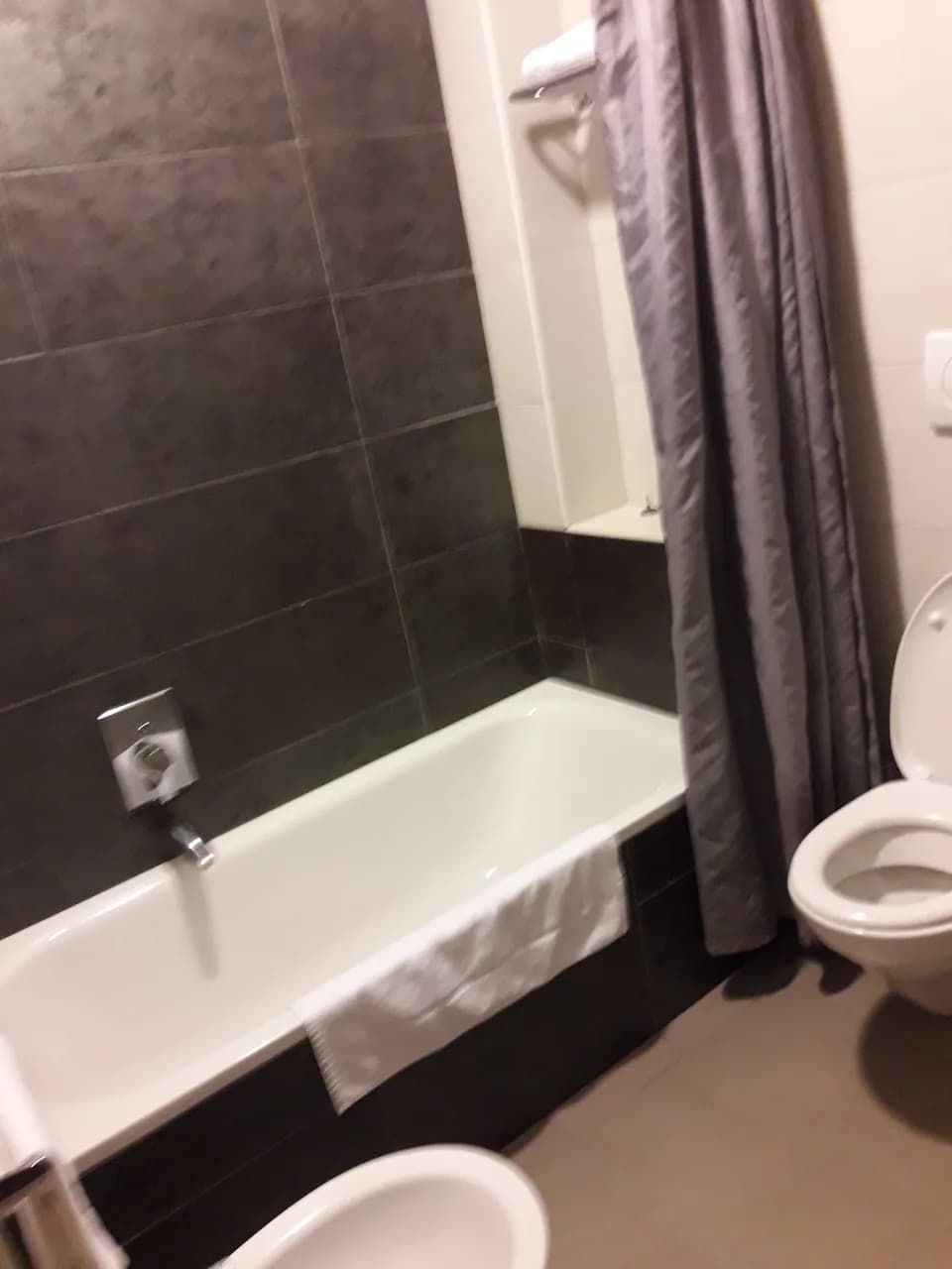 Hotel Artis