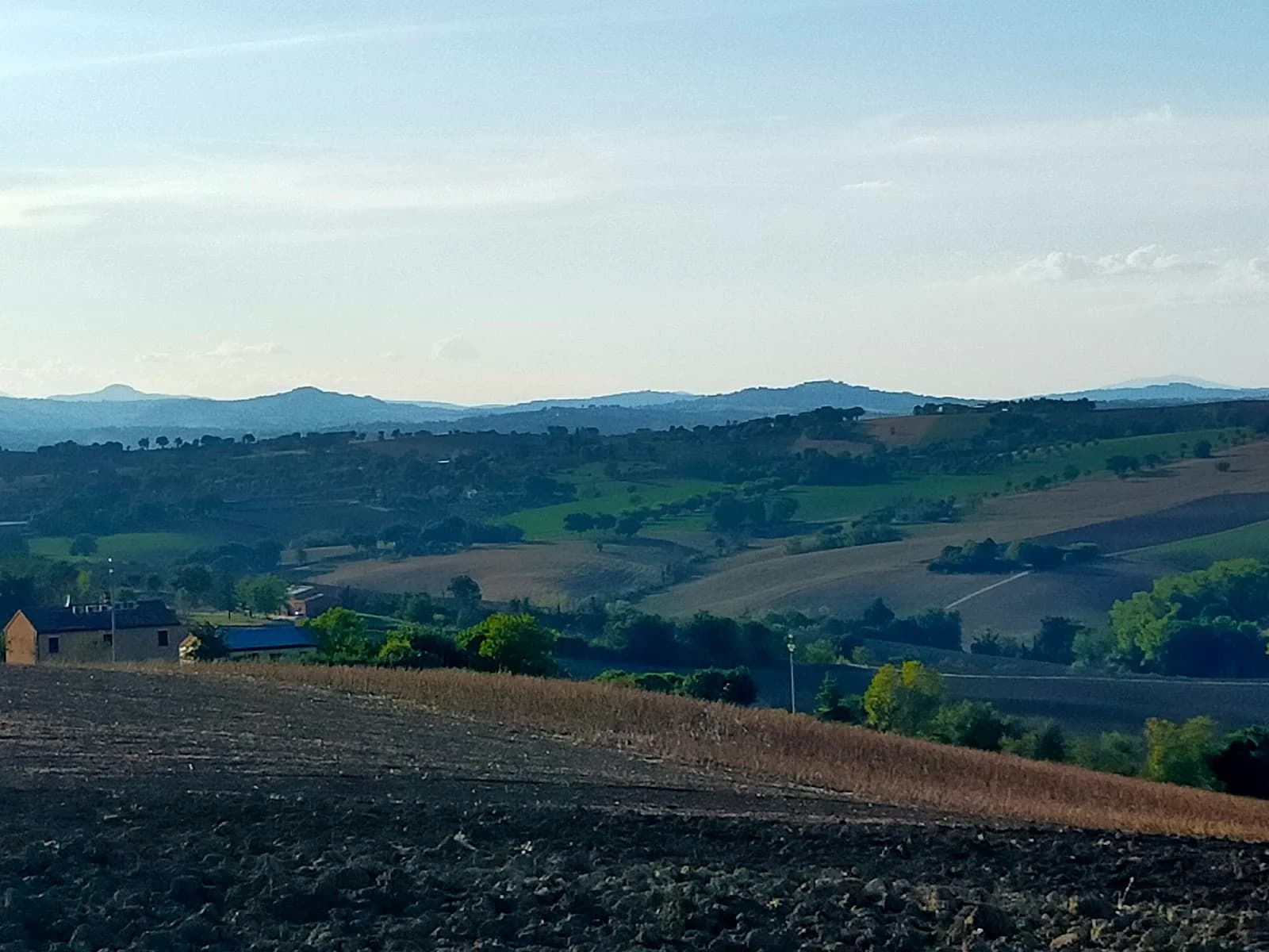 Il Giardino Degli Ulivi