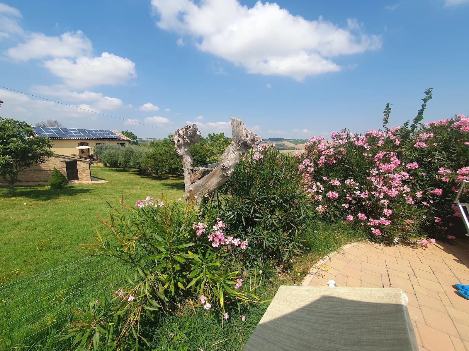Il Giardino Degli Ulivi