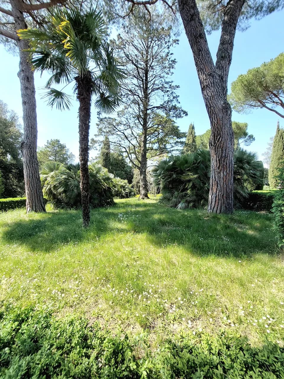 Il Giardino Sonoro Di Ghizzano