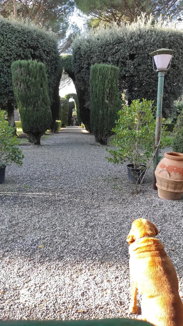 Il Giardino Sonoro Di Ghizzano