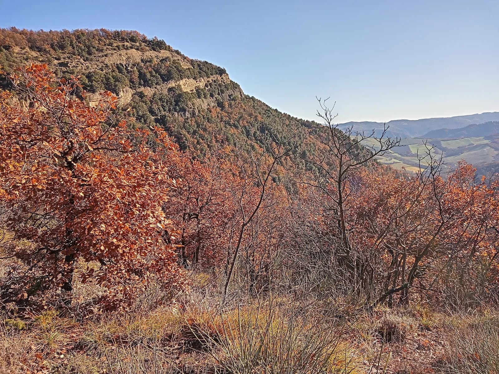 Il Granello