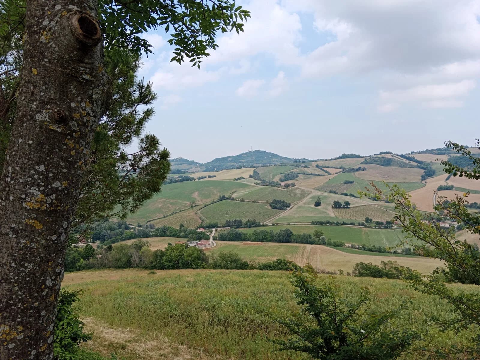 La Nuova Brocca
