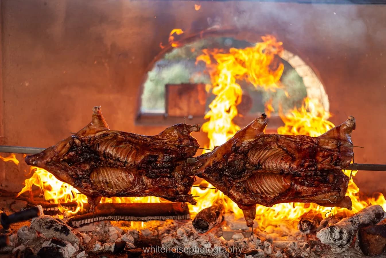 La Quercia Della Gallura