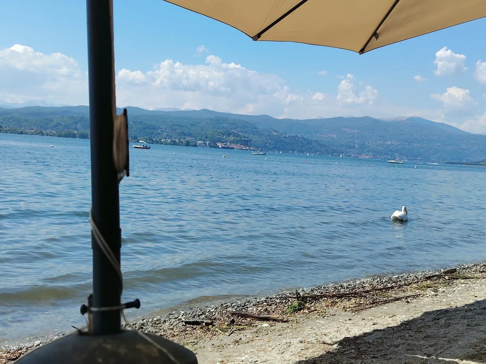 Lisanzalake