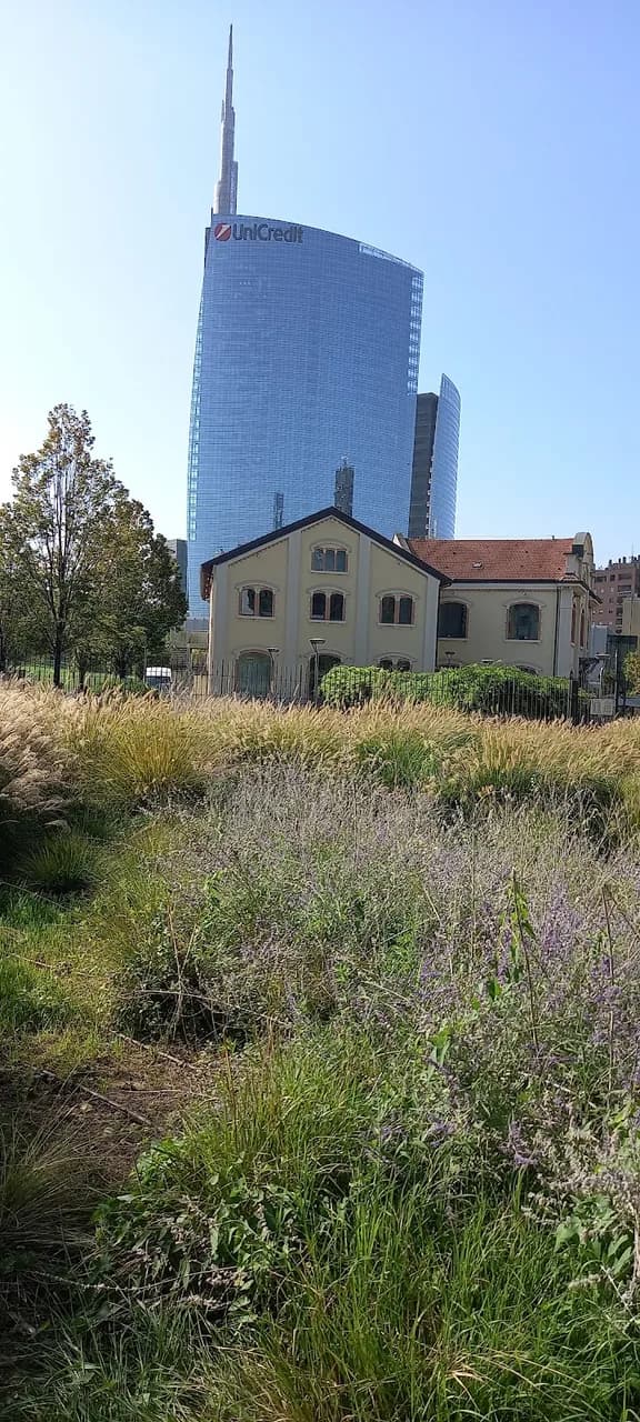 Location Allisola