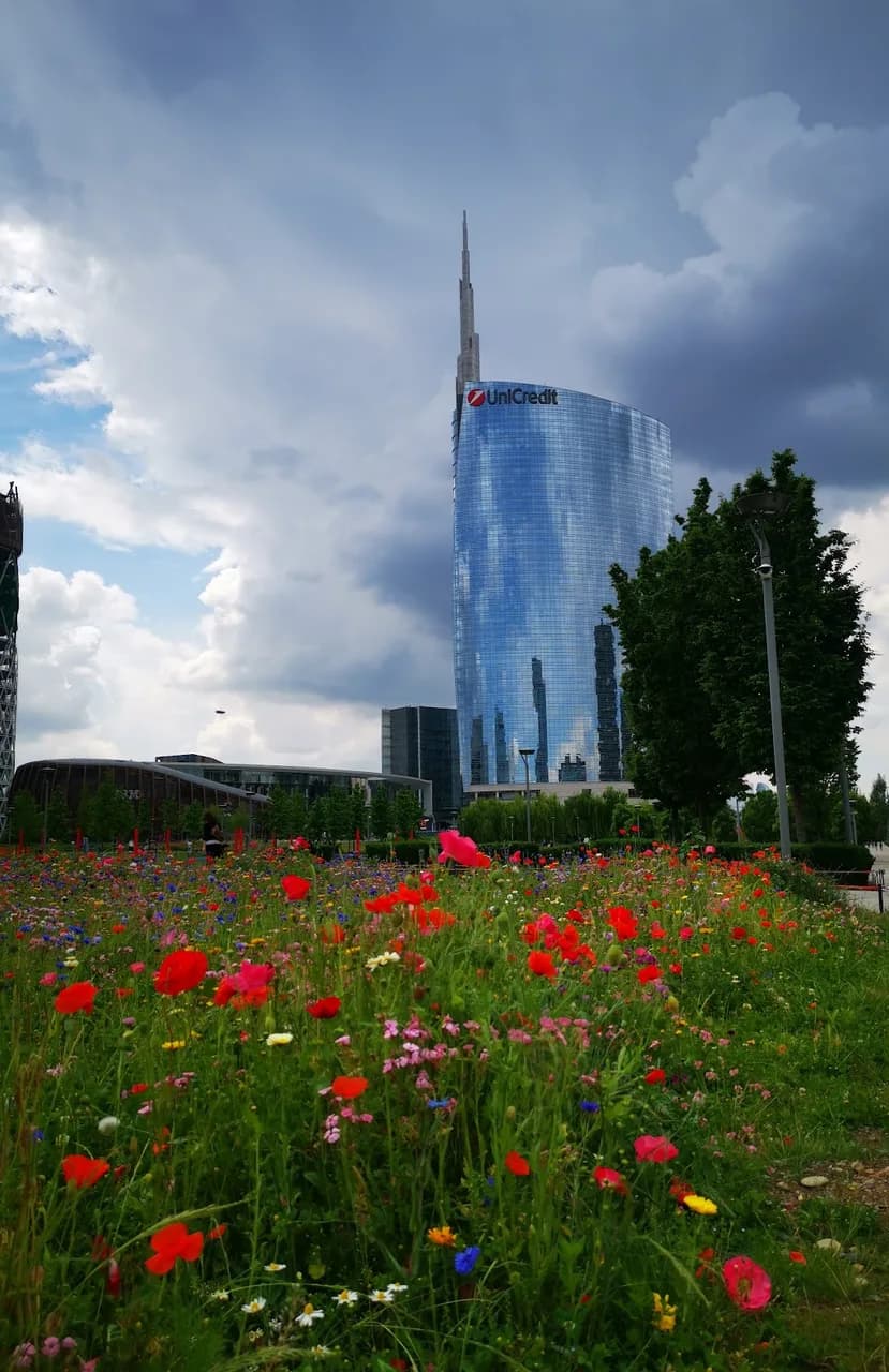 Location Allisola
