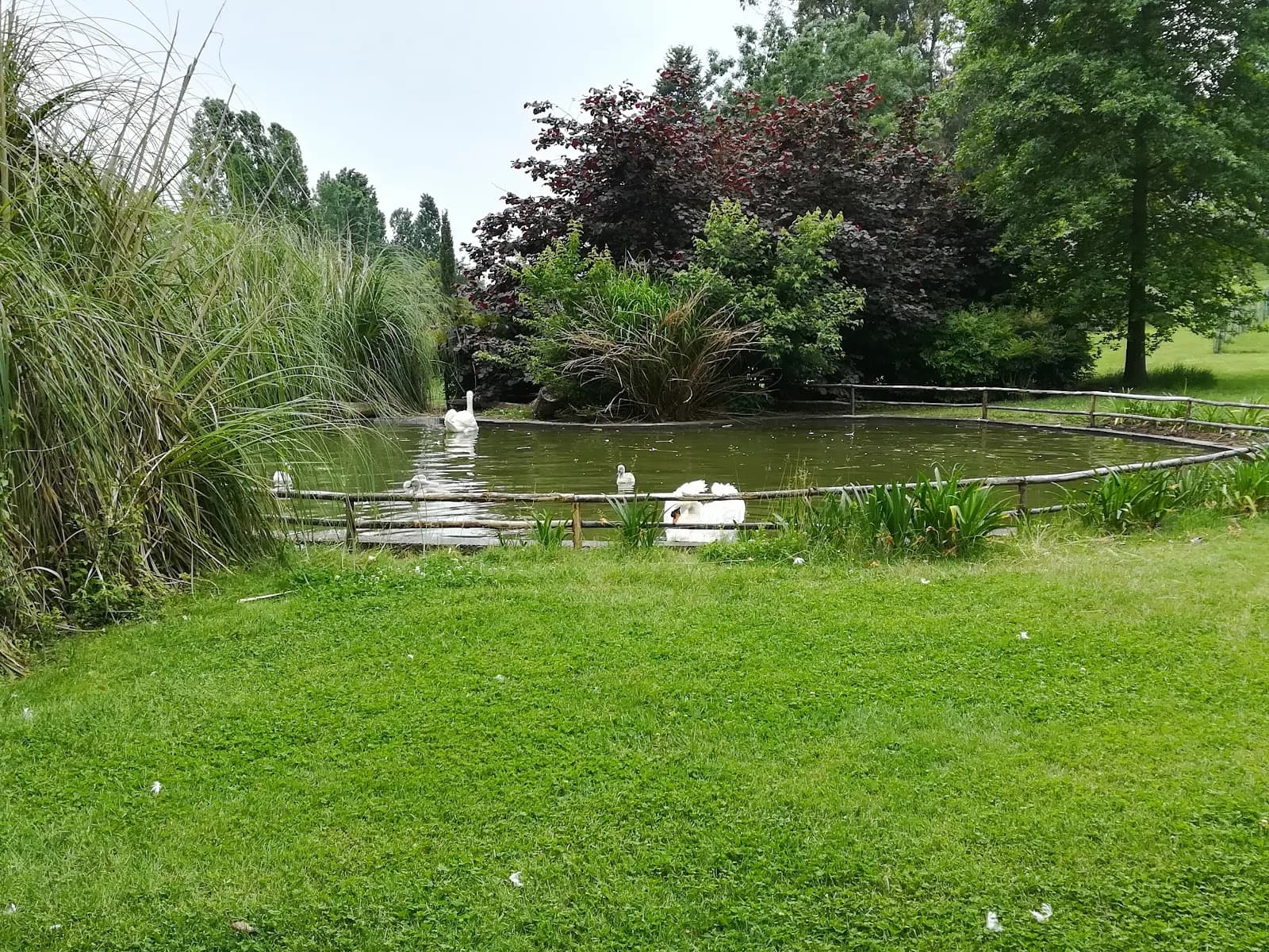 Location Eventi Caiazzo