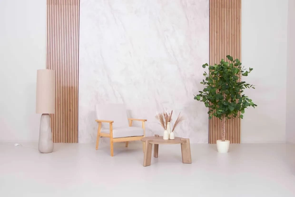 Multiset Studio Mecenate
