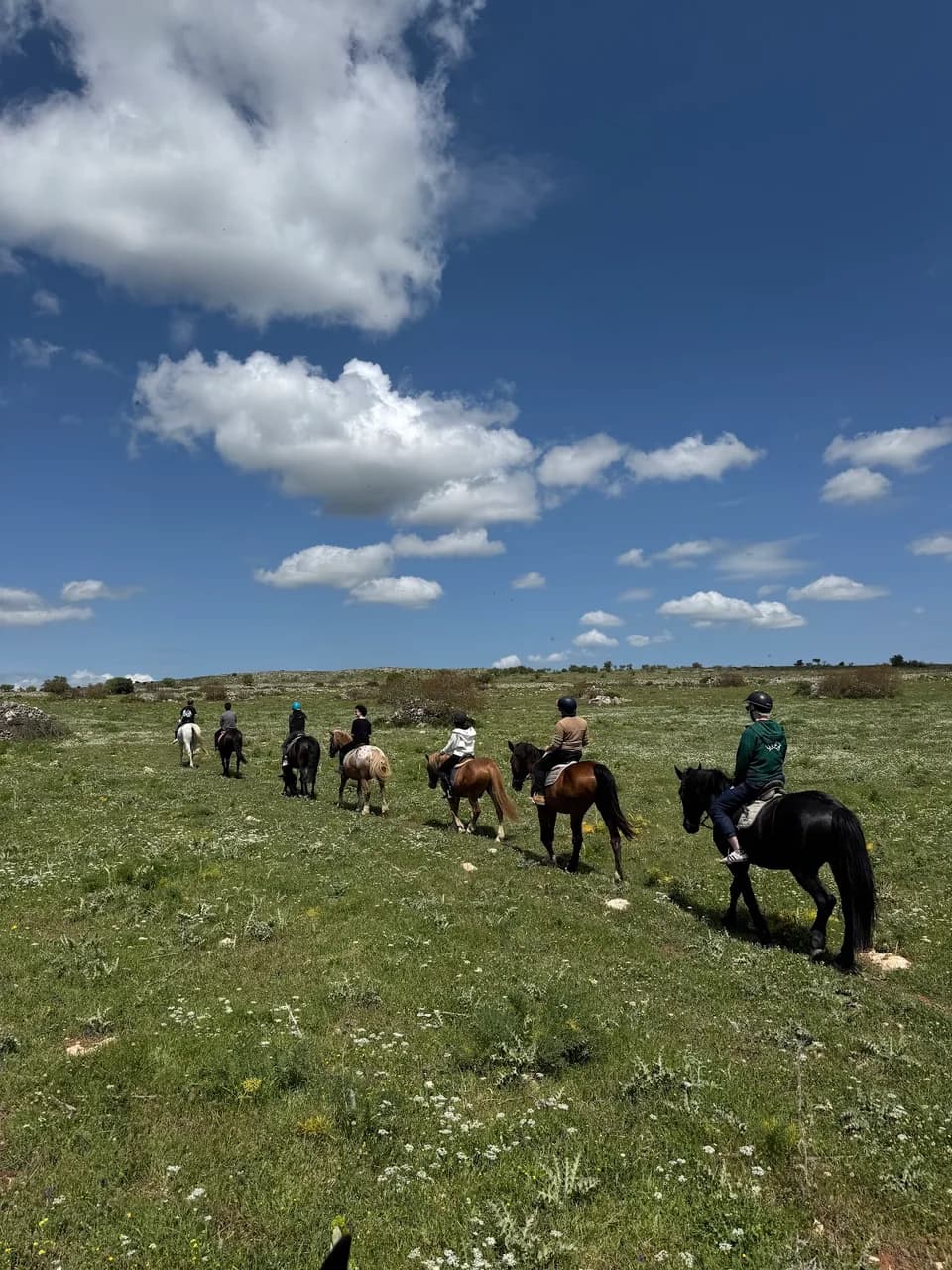 Neo Experience