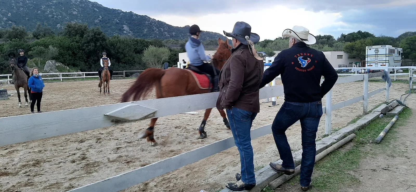 Palahorse