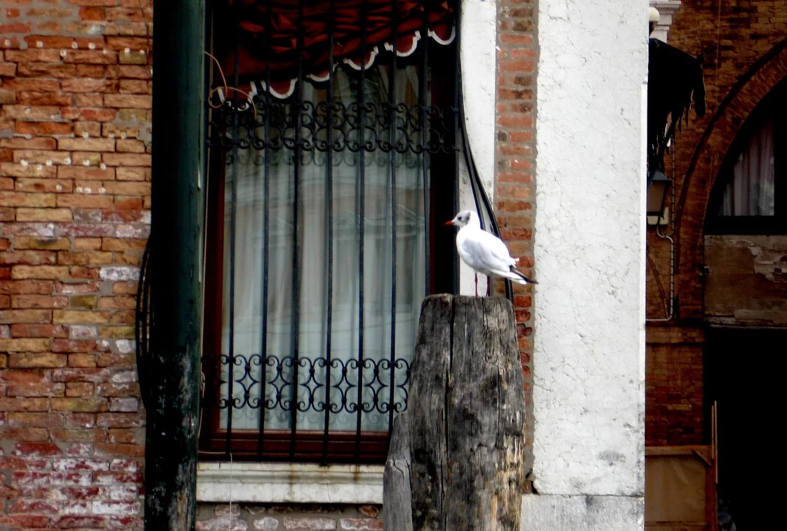 Palazzo Pesaro Papafava