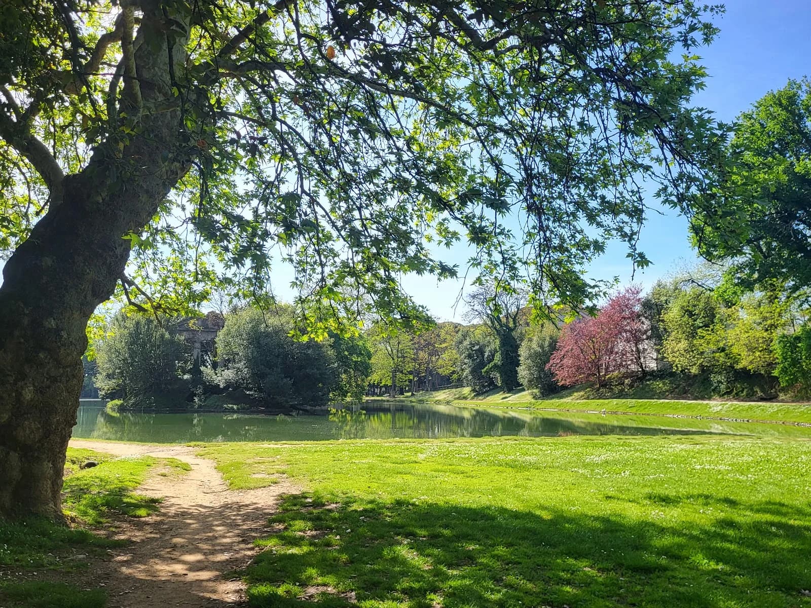Parco Puccini Bonacchi