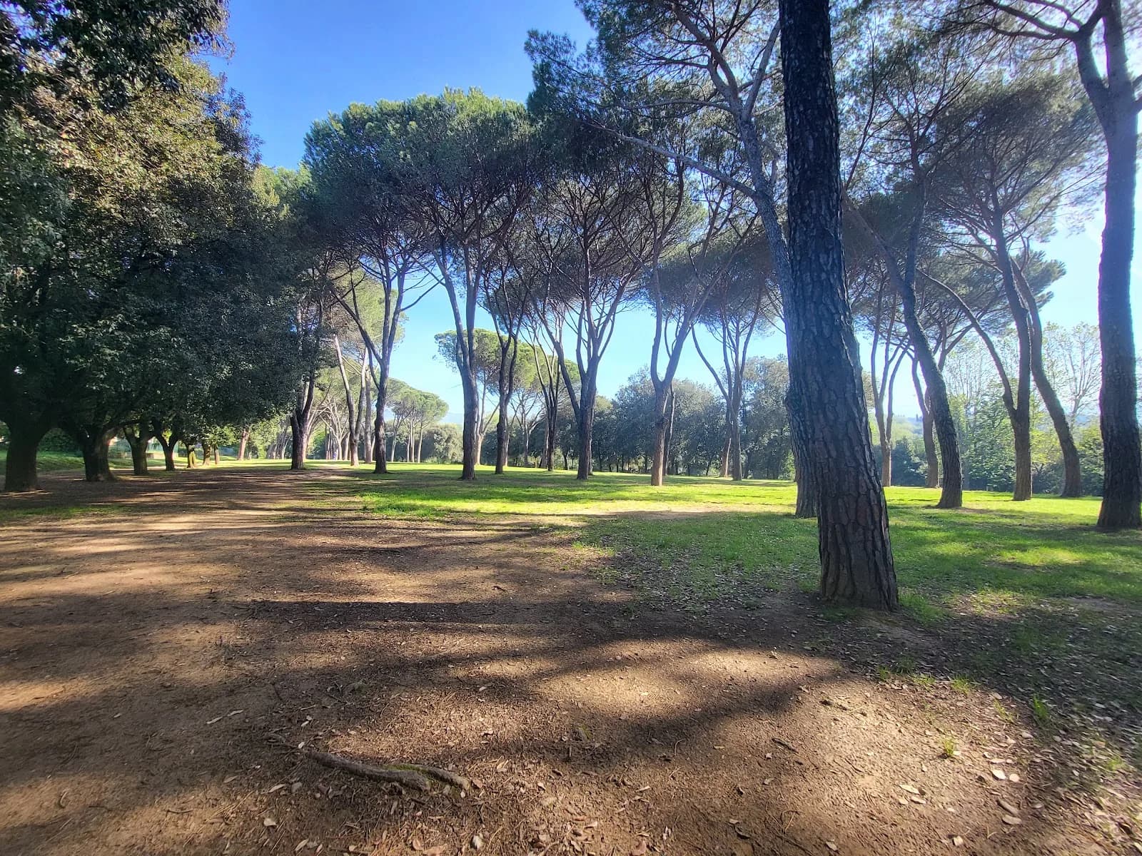 Parco Puccini Bonacchi