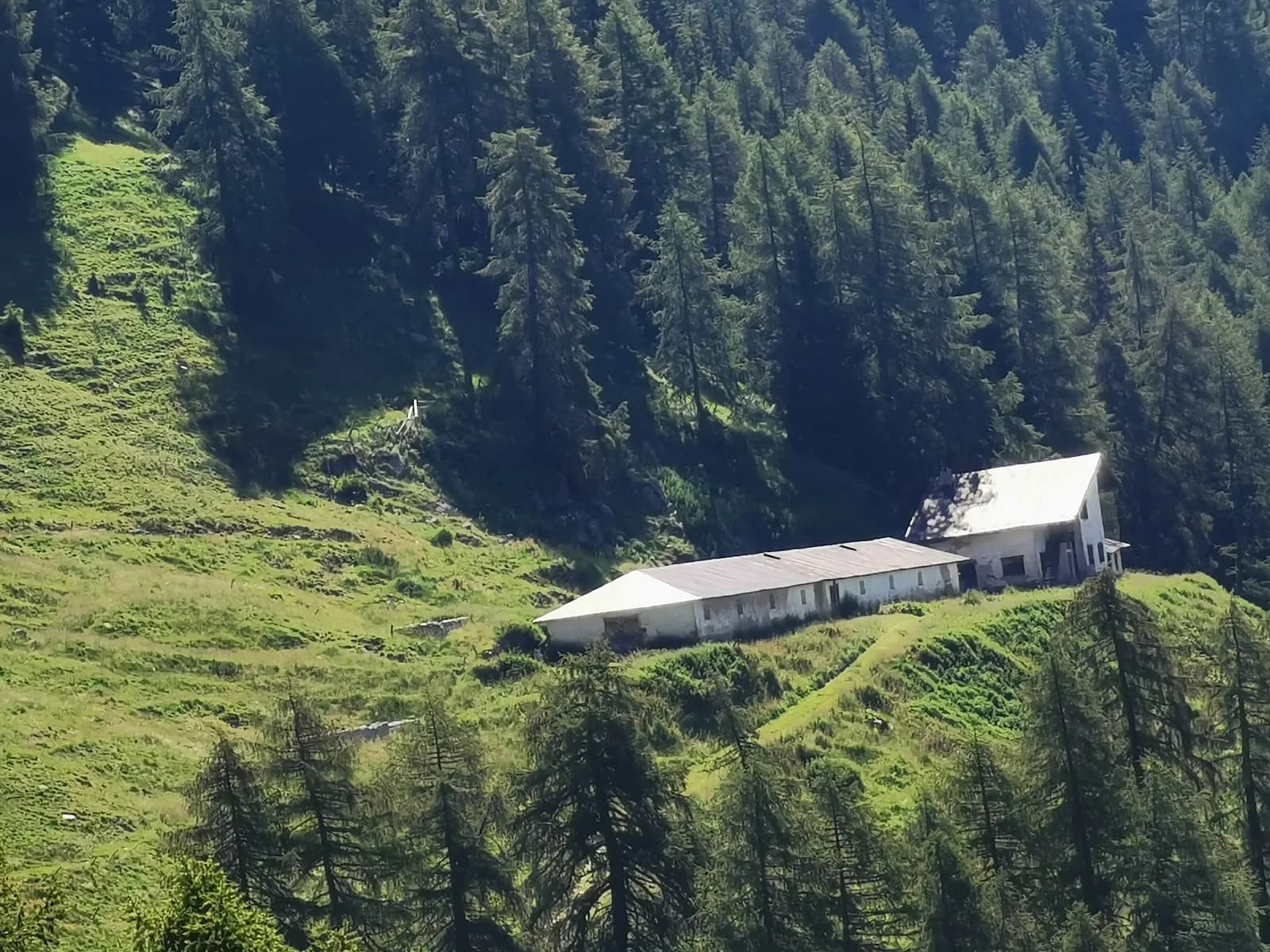 Restor Natura Malga Mondent