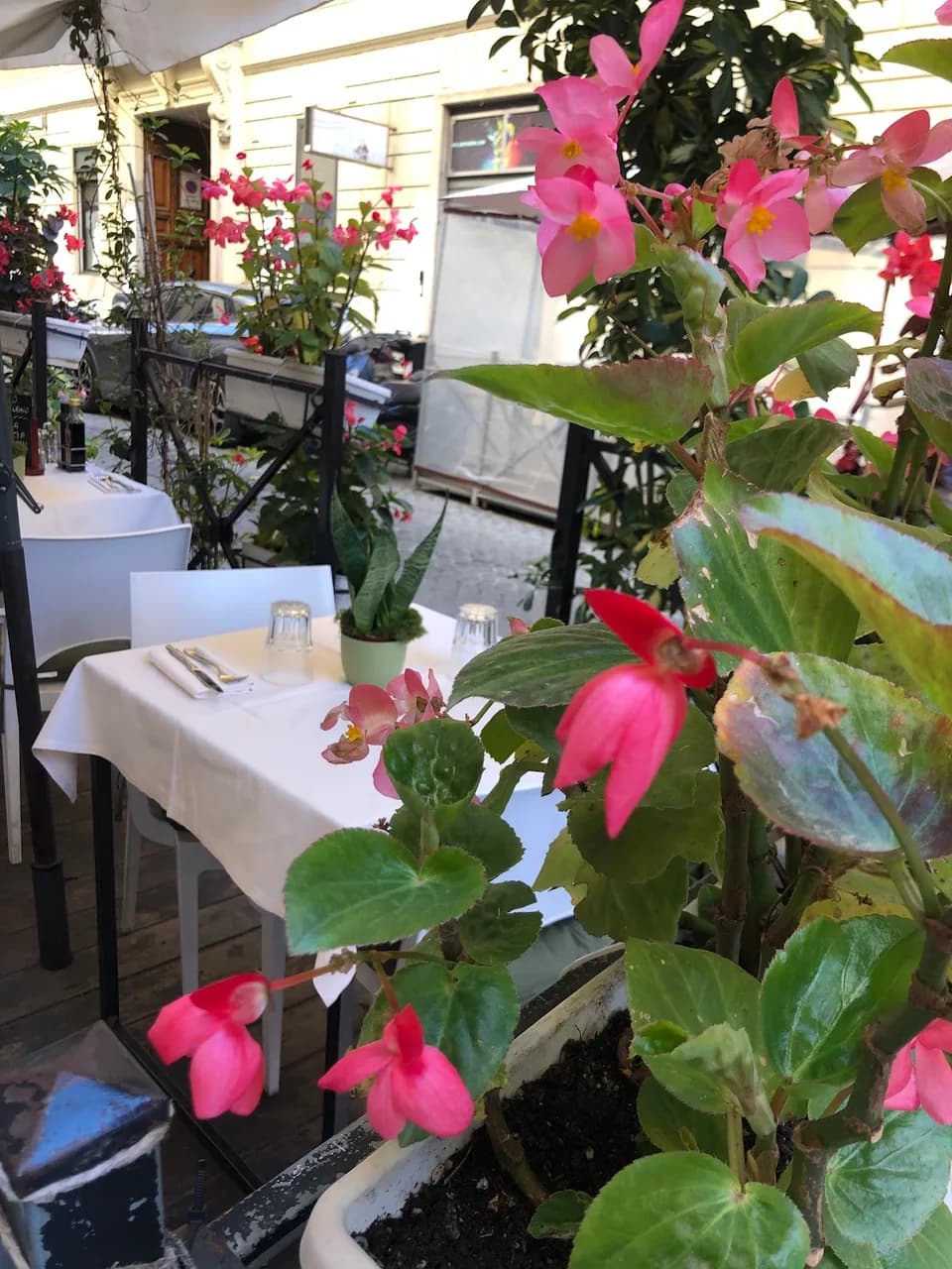 Ristorante Da Trani