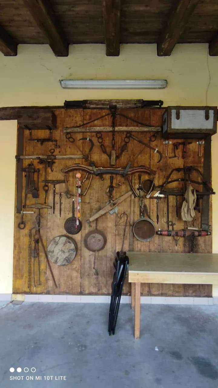Ristorante Oasi Bianca