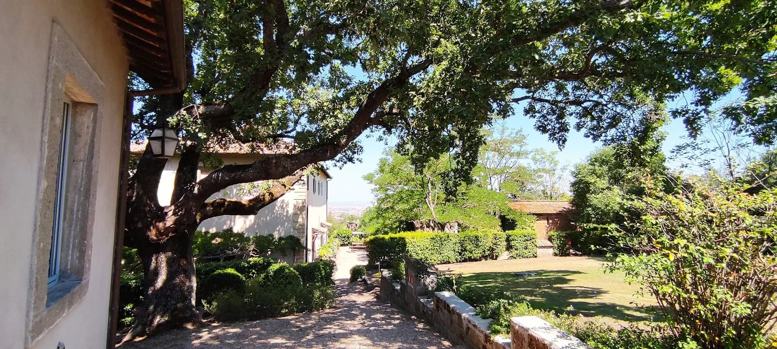 Tenuta Di Ferento