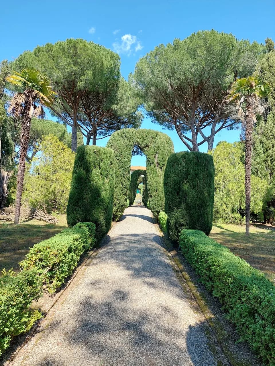 Tenuta Di Ghizzano