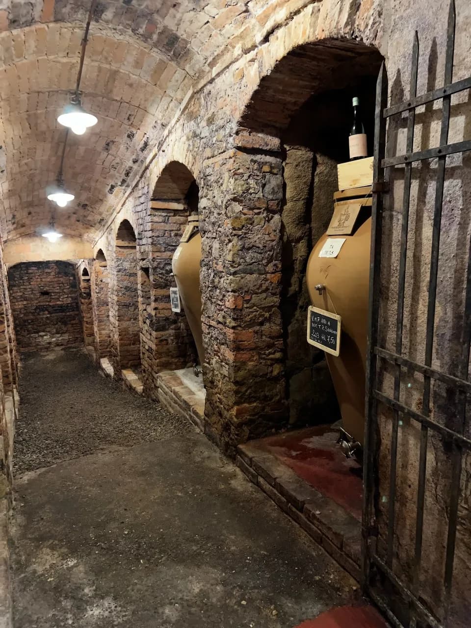 Tenuta Di Ghizzano