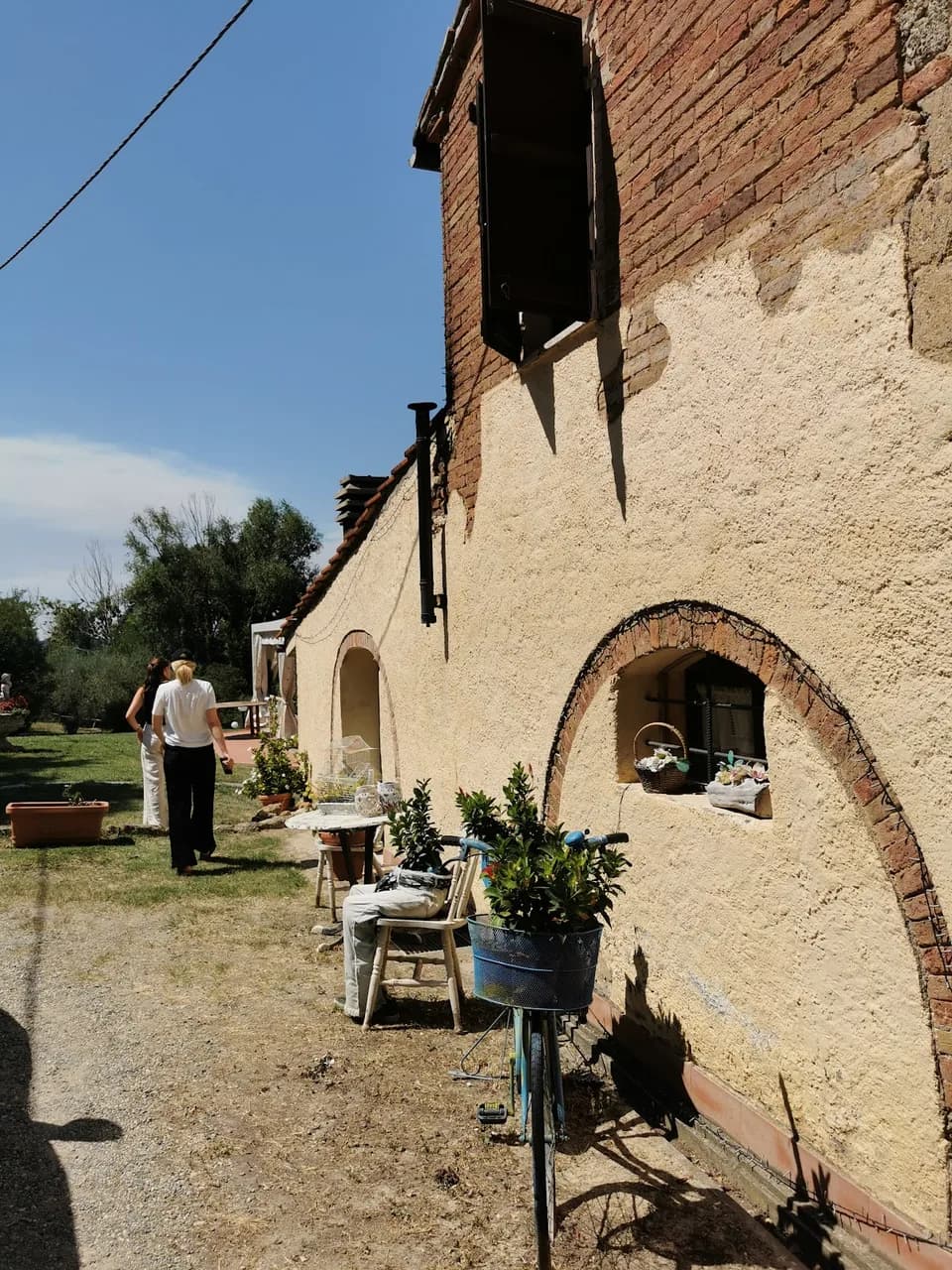 Tenuta Il Pino