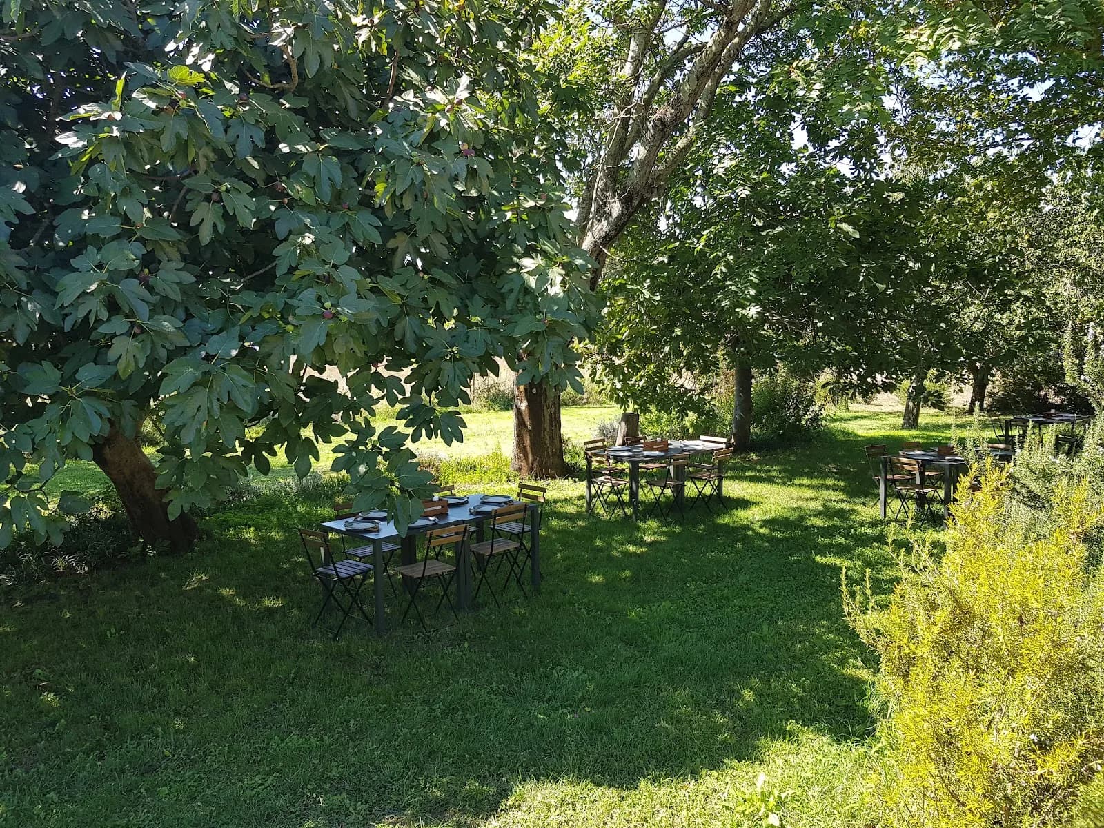 Tenuta Valle Cento