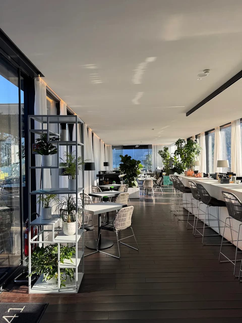 The Rooftop Luxury