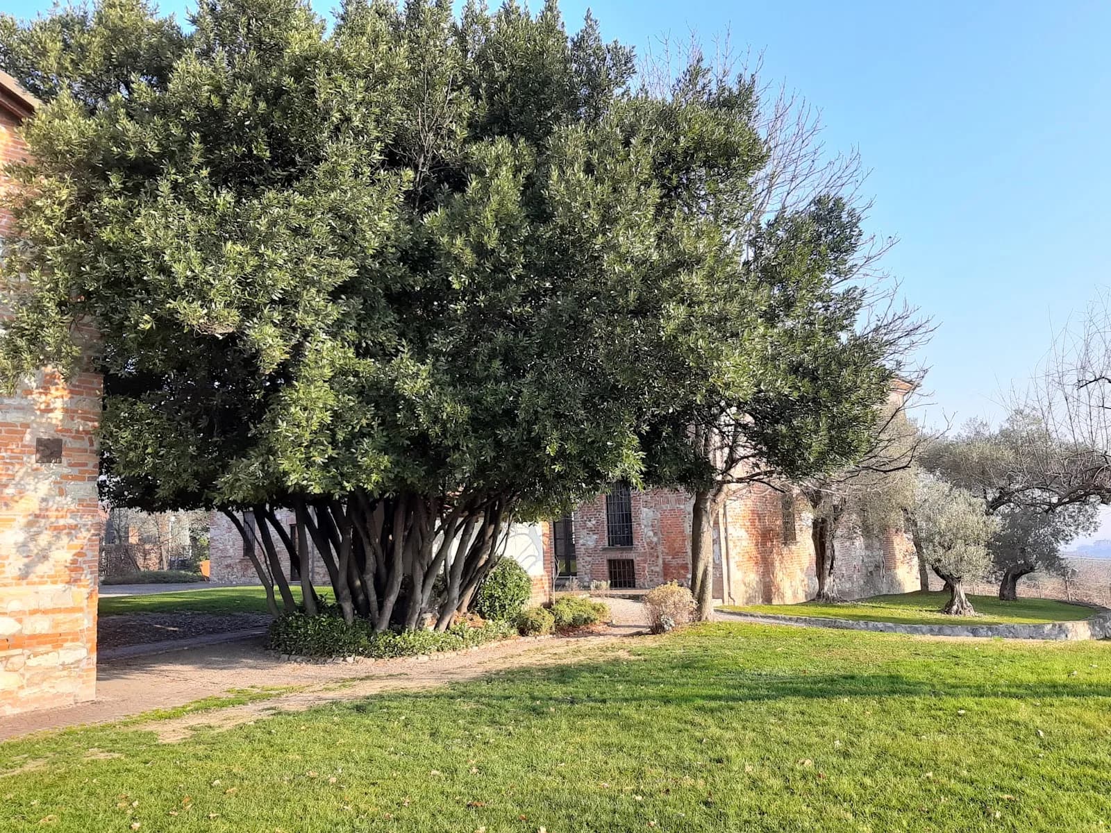 Torre Fornello
