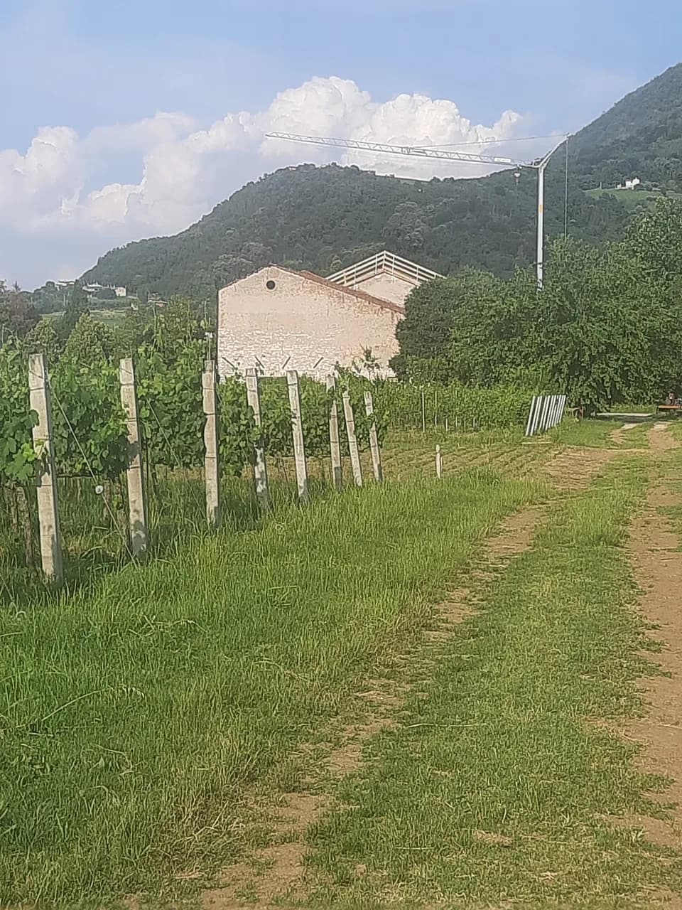 Villa Cogo Malaspina