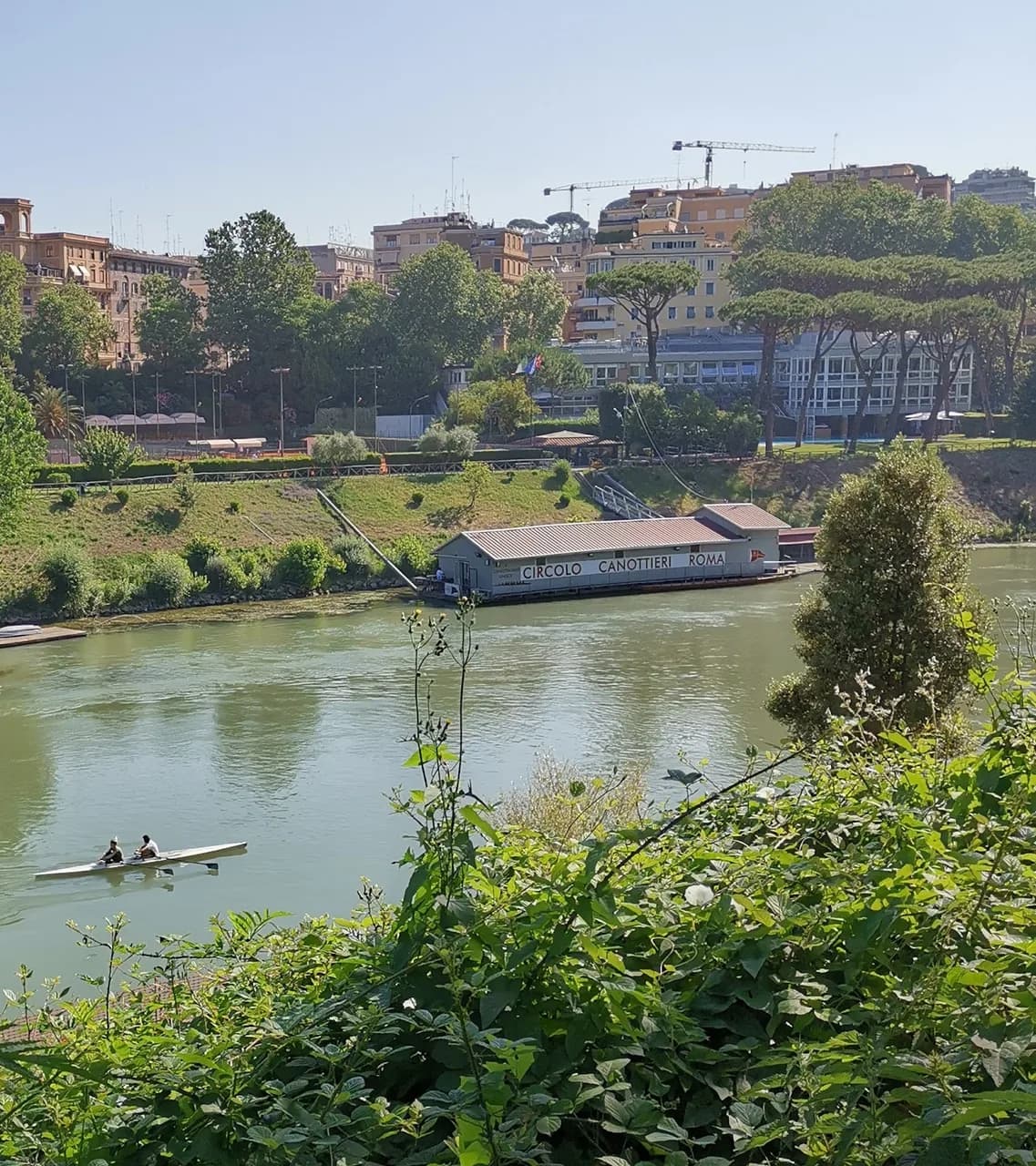 Rowing Club