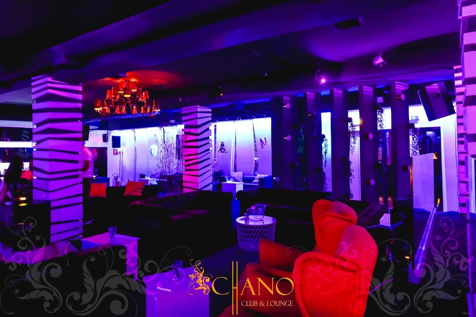 Chano Club Cassia