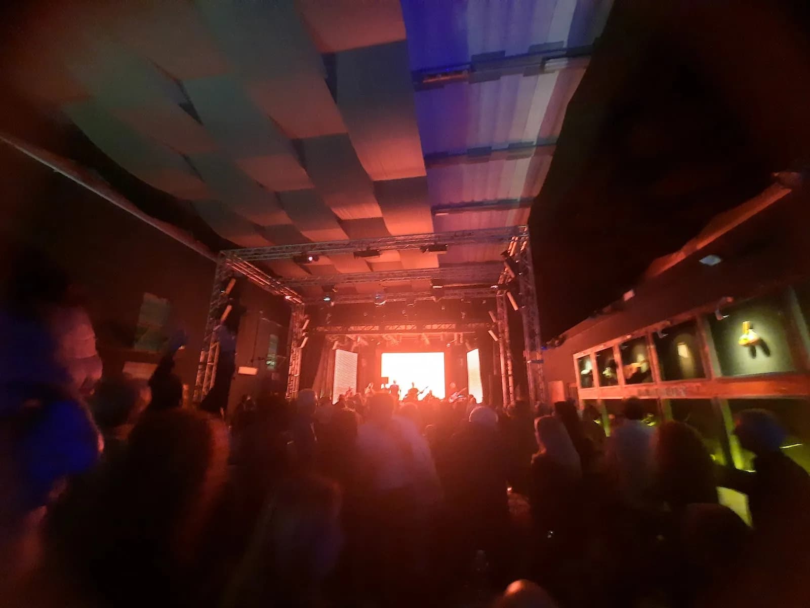Mammut Live Club