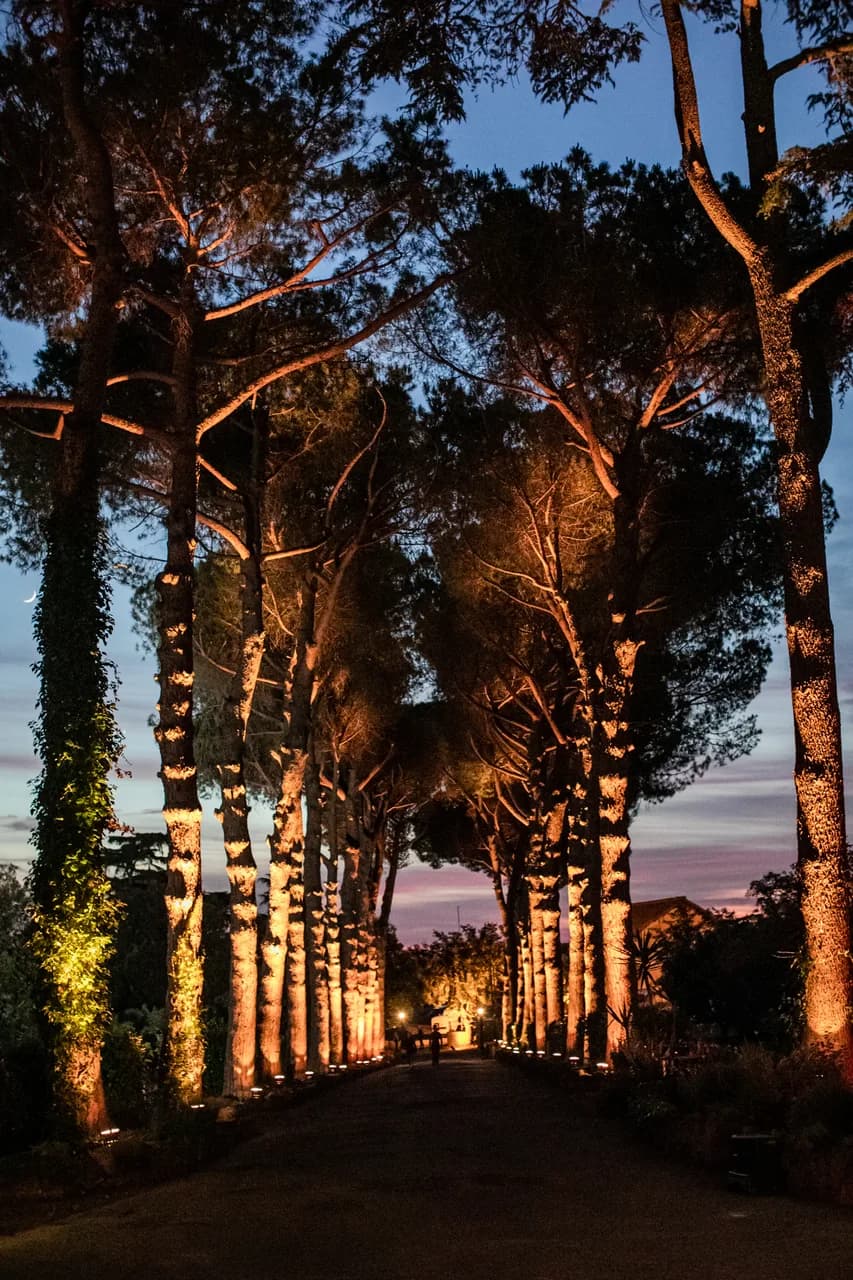 Location Salone