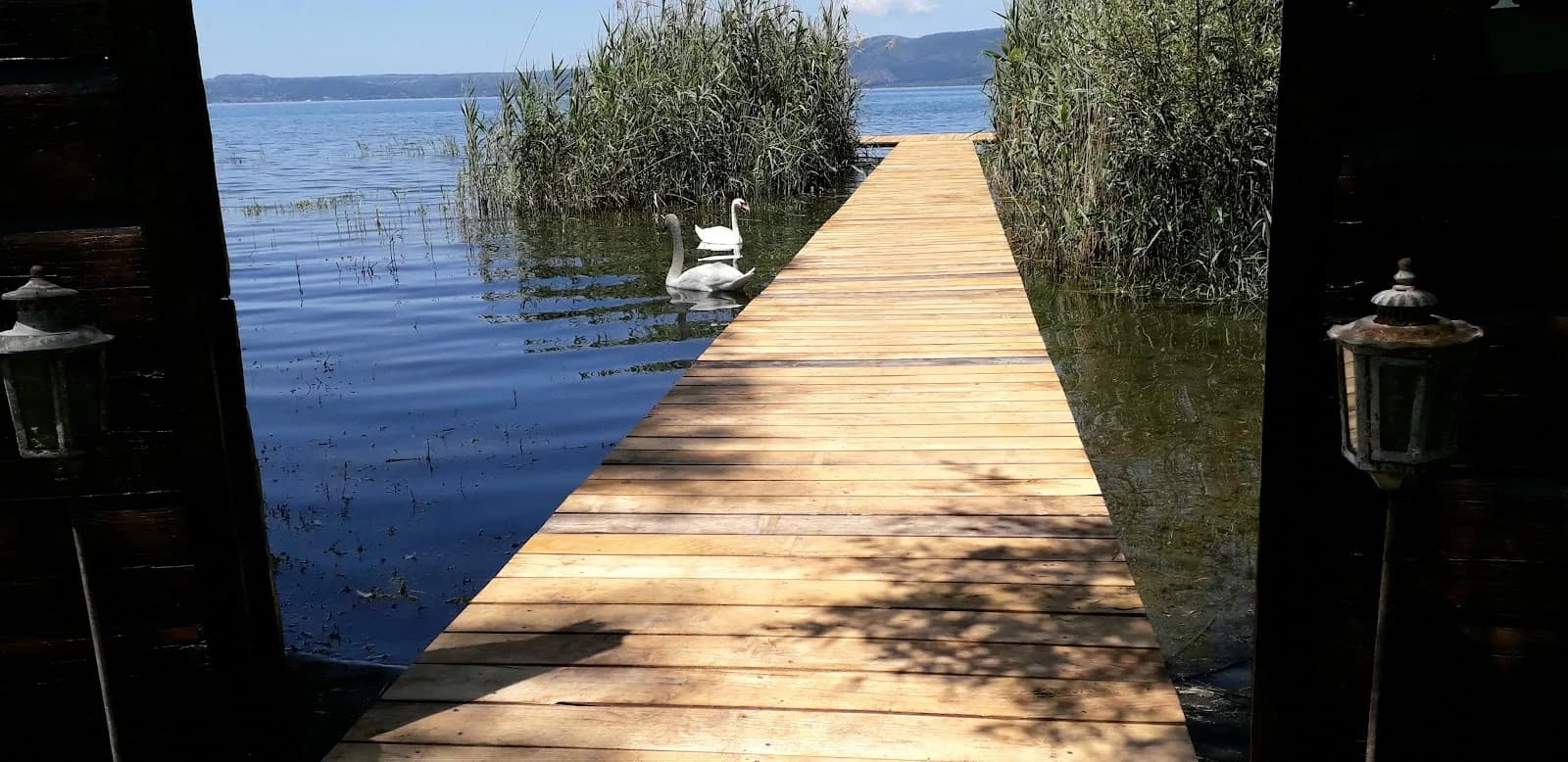Tenuta di Polline