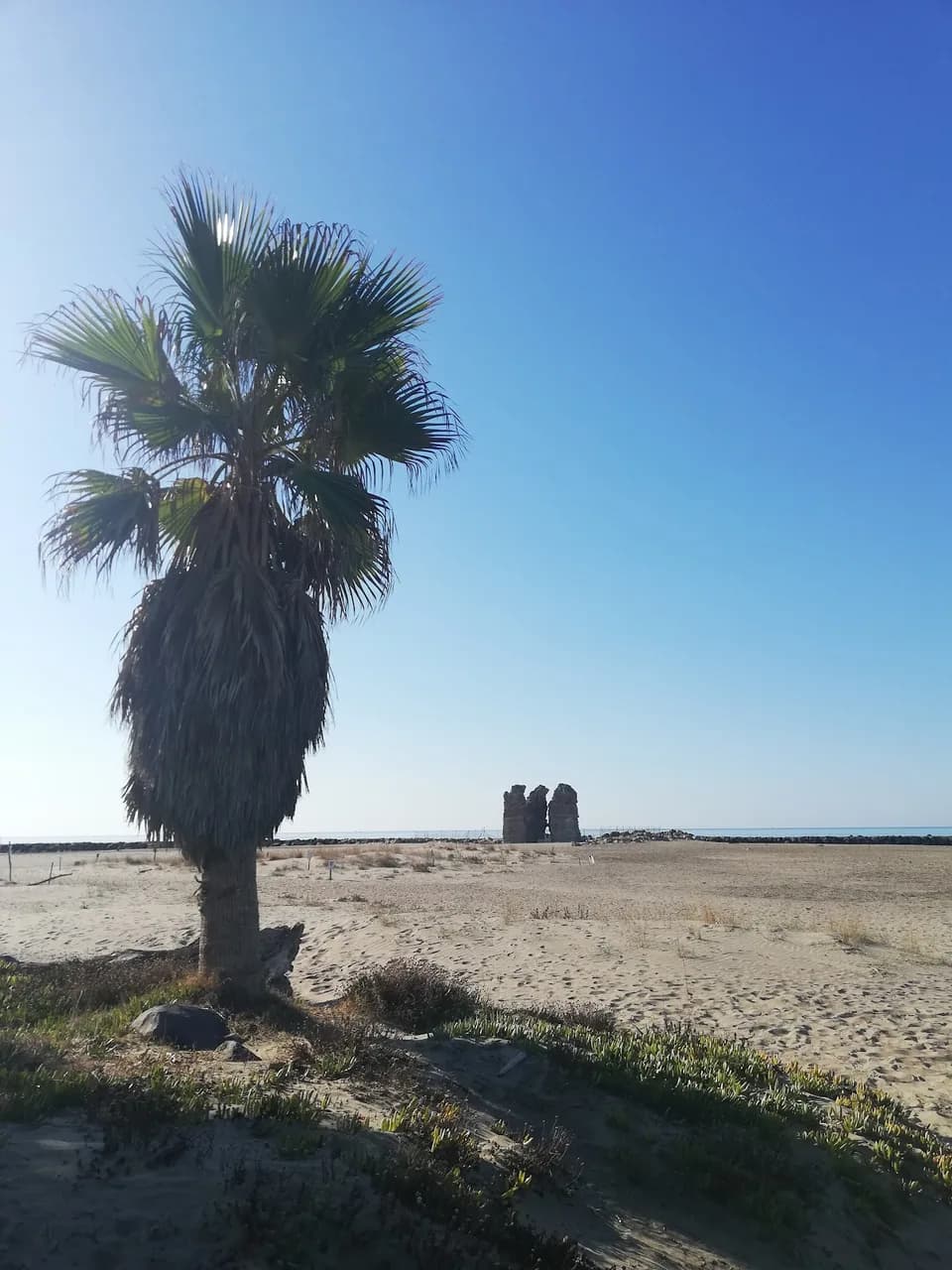 Torre Flavia