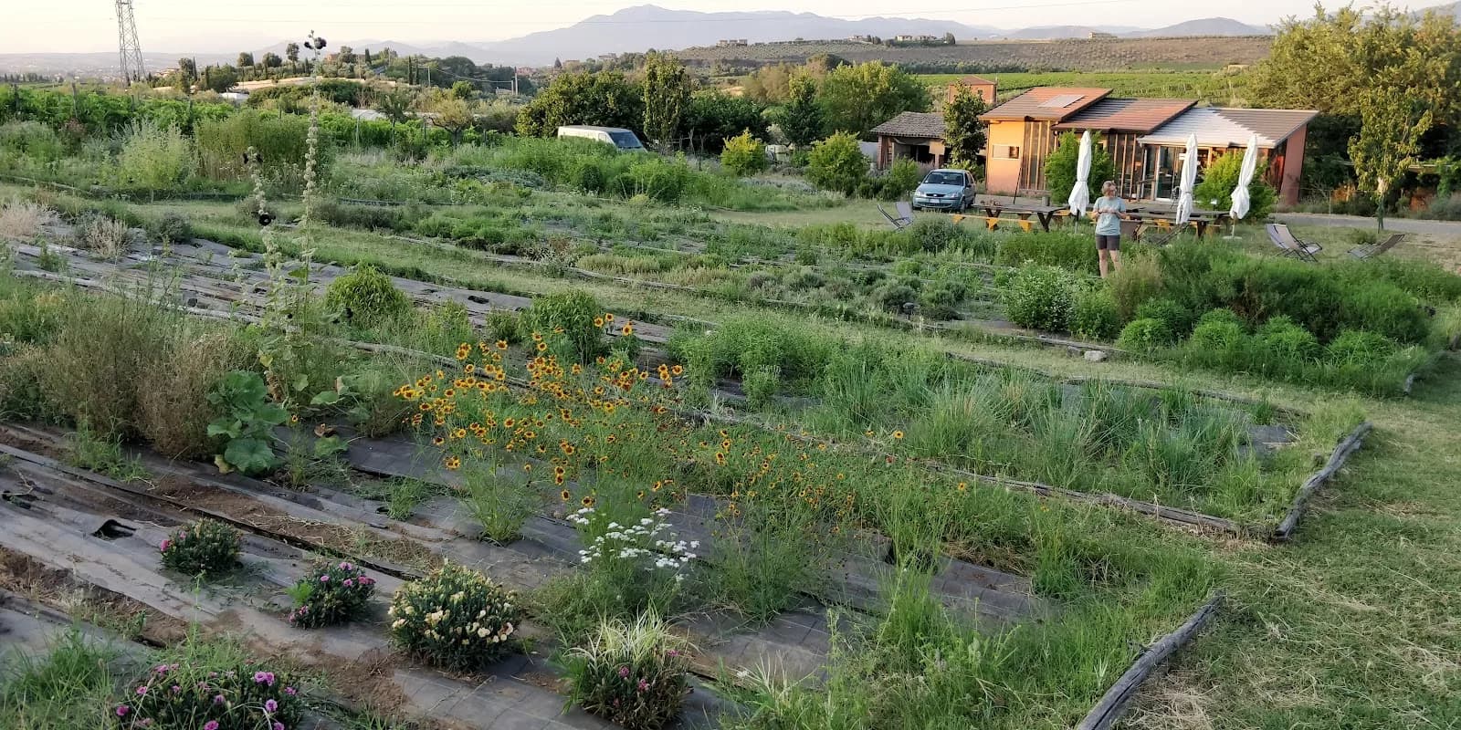 Country House Erba Regina