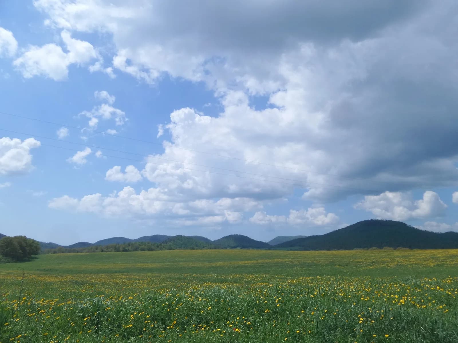 Fosso della Mola
