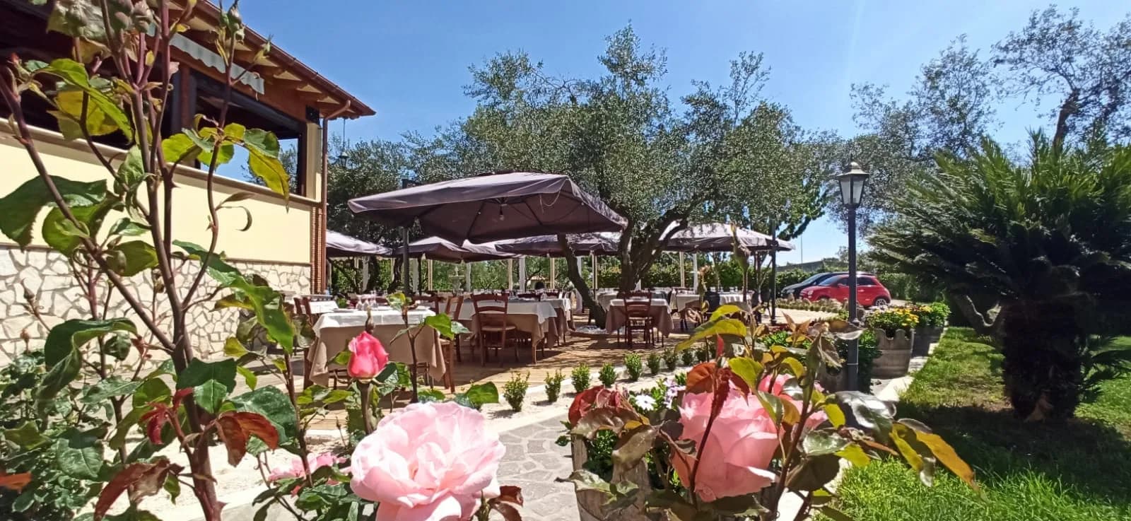 Agriturismo Colle Salomonio